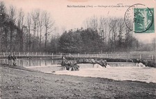 60 SERIFONTAINE HERBAGE ET