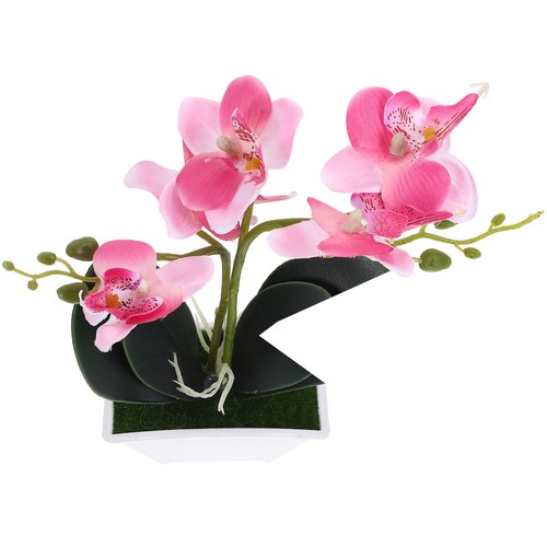 Orchidée vase décoration - orchidée,