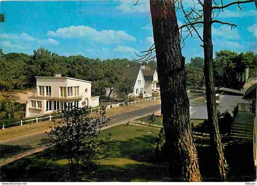 Carte postale stella - postale, 62