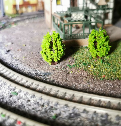 Buissons vert clair - vert,