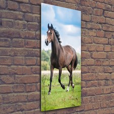 Tulup Tableau Sur Verre Trempé Image 50x125 - Cheval sur le terrain