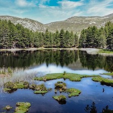tableau corse de creno de