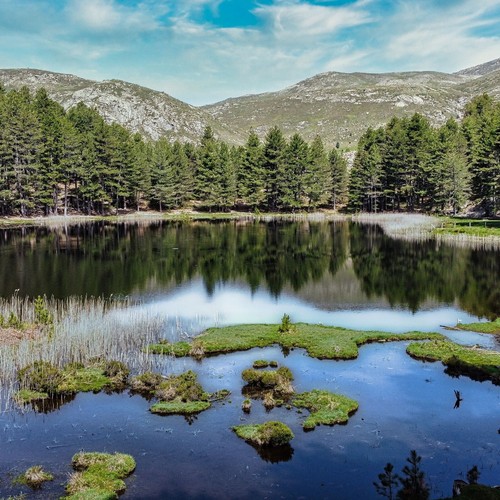 Tableau corse creno - creno, de