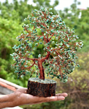 Arbre de jade vert pour la