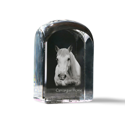 Camargue pferd - camargue-pferd,