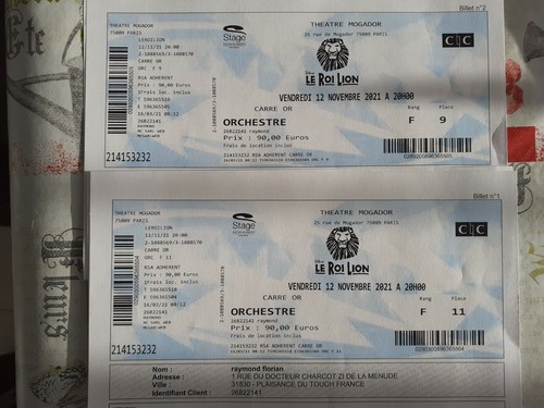 Roi lion theatre mogador 2 - roi,