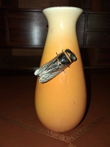 Vase signé massier valauris - signé,