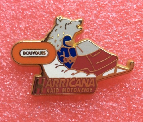 T04 pins arthus - pins,