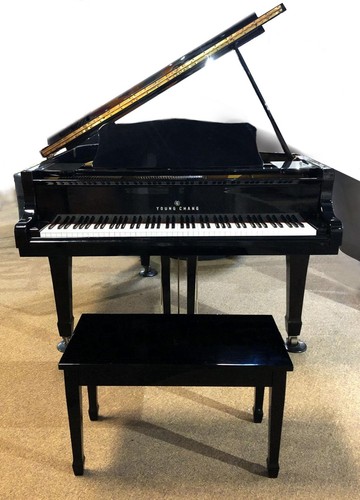 Mother pearl and ebony - mother-of-pearl,
