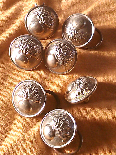 03874 lot sept bouton - 03874,