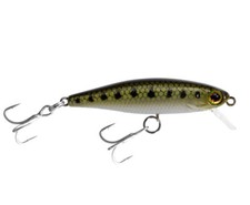 Illex Wobbler Tiny Fry 50 SP GOUJON Appâts Artificiels Raubfisch Truite Hardbait