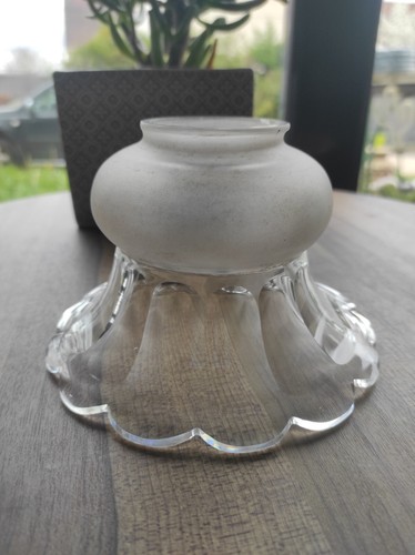 Tulipe bulbe globe - /, /