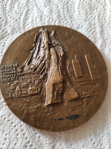 Médaille bronze flumine - médaille, de