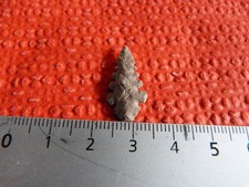 Préhistoire  Pointe de