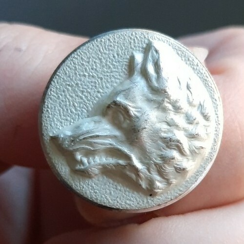 E05b09 tête loup blanc - tête,