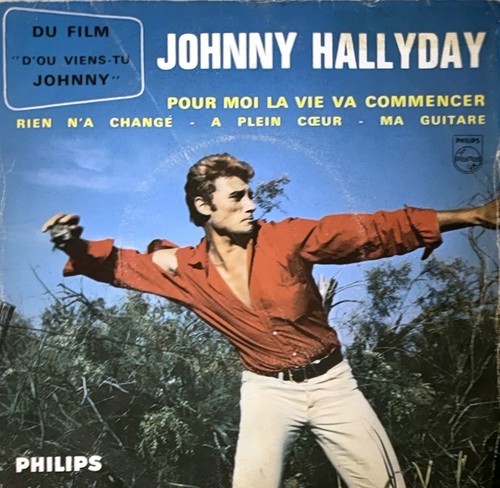 Johnny hallyday vinyles - johnny,