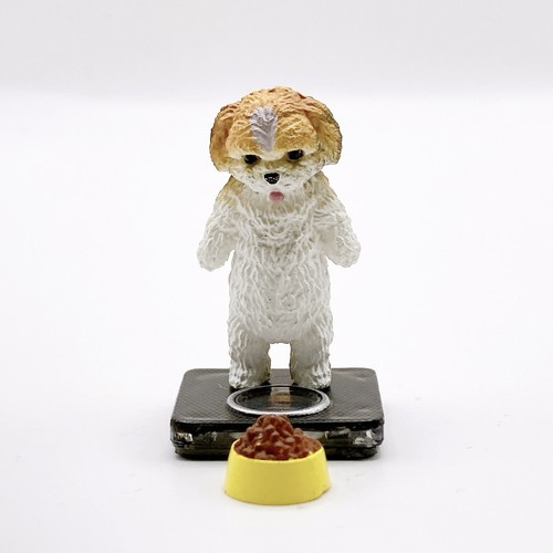 Mini figurine capsule shih - shih, tzu