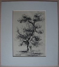 Dessin encre arbre - , l'