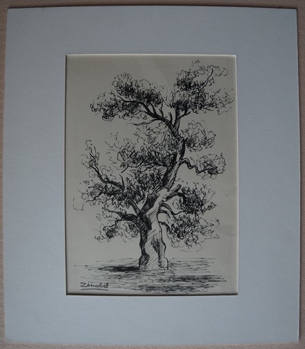 Dessin encre arbre - dessin,