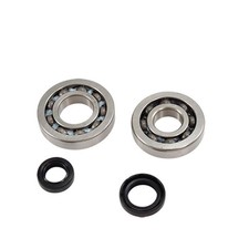 ROULEMENT VILO + JTS SPI