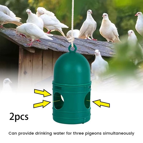 Dispensateur eau pigeon - dispensateur,