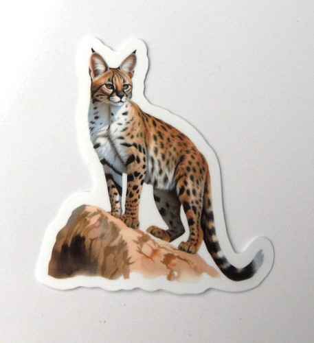 Vianille sticker thème - -,