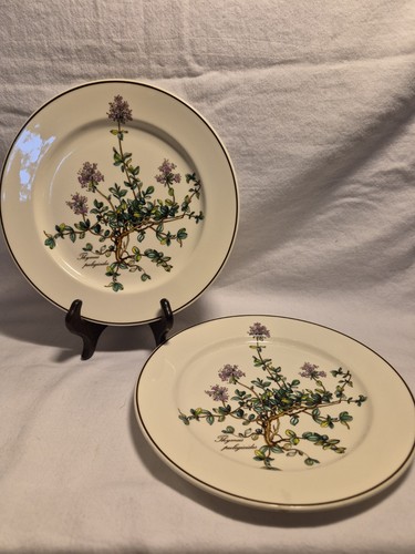 Villeroy boch botanica salad - villeroy,