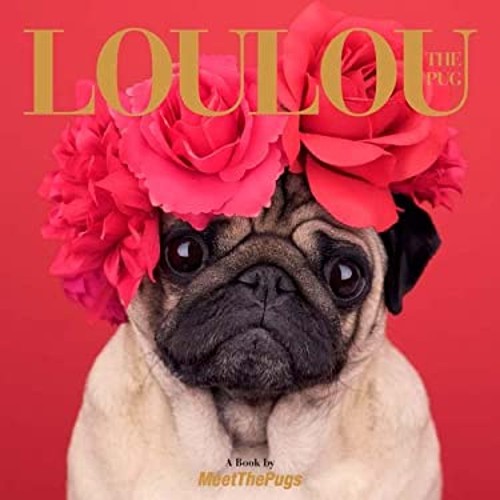 Loulou carlin un livre - loulou,