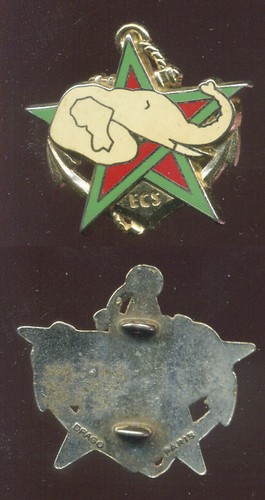 Tdm ricm ecs type 1 - type,