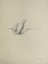 Modesto ROLDAN - Litografia lithograph 1961 Les Moules féminines Mussels Moldes