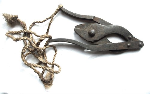 Pince coupe barbelé - barbelé, anglaise