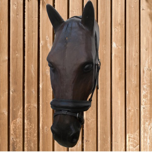 Euroriding riding halter
