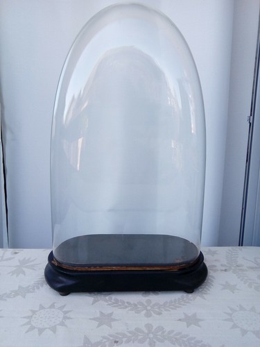 Globe mariée ovale 50cm - globe, de