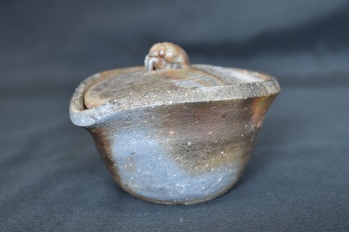 Théière japonaise bizen ware - japonaise,