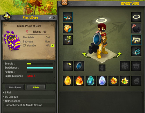 Compte dofus cra opti lvl - dofus,
