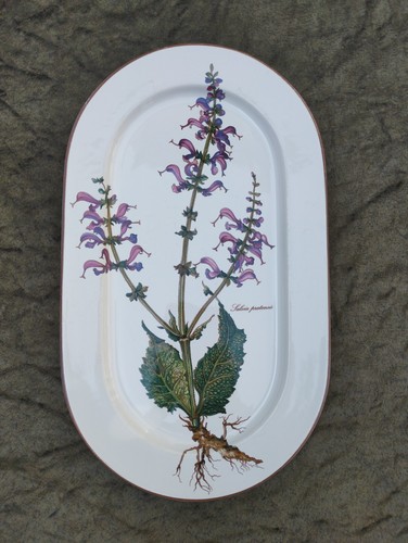 Grand plat ovale botanica - plat,