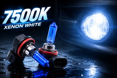 Ampoules brouillard xenon - ampoules,
