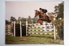 PHOTO Argentique	France	Equitation cheval saut d'obstacles	30x40cm	1970