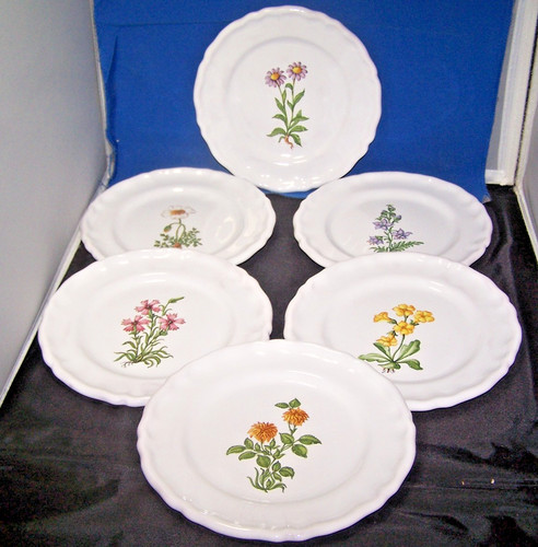 Assiettes dessert - 6, à