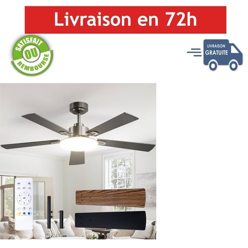 Ventilateur plafond passky - ventilateur, de