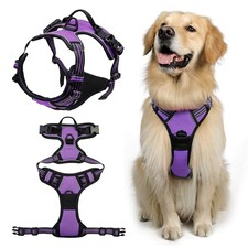 Harnais Chien No Pull, Harnais