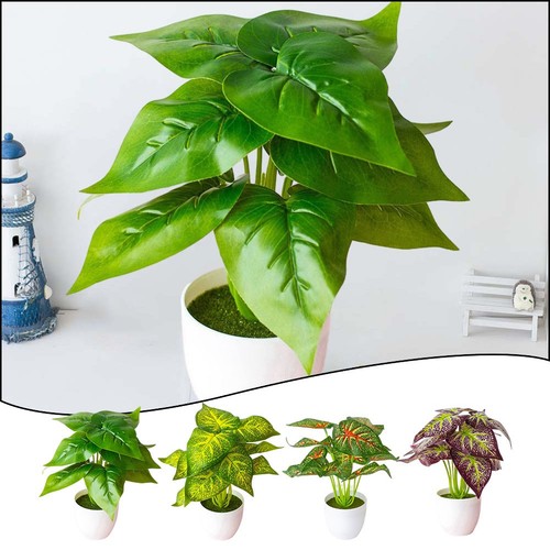 Plante pot décoration de - en,