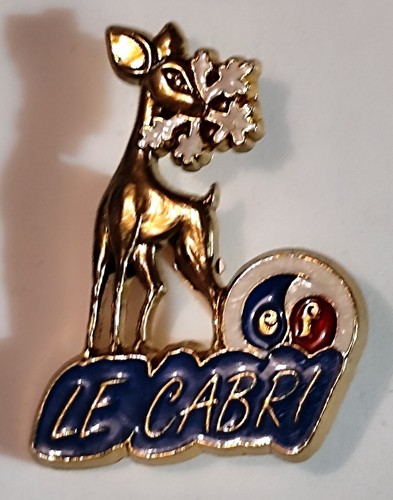 A11 pin broche ski insigne - a11,