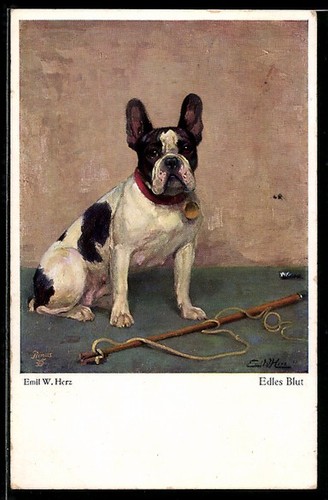 Carte postale bouledogue avec
