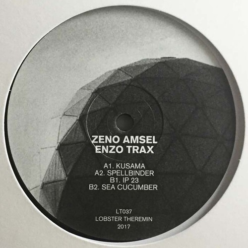 Zeno amsel enzo - zeno,