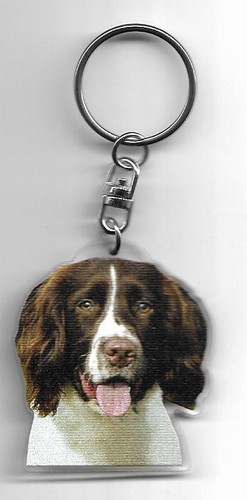 Springer anglais chien porte - ,