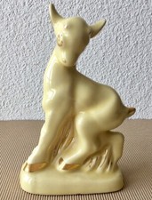 FAON ou jeune bovidé