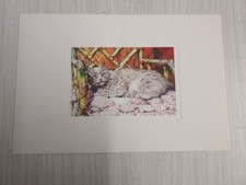 CP CARTE POSTALE AQUARELLE ANIMAUX Le CHAT Le FAUTEUIL de BAMBOU - Vierge