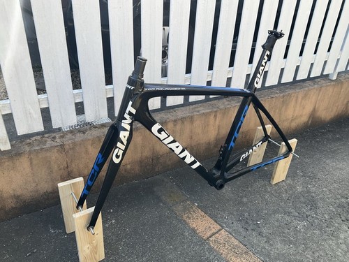 Giant tcr advanced - sl, carbon