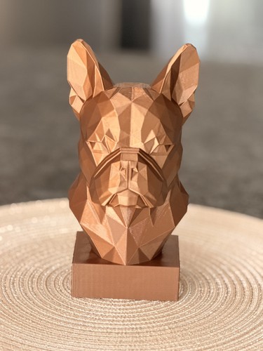 Bouledogue francais - bouledogue,